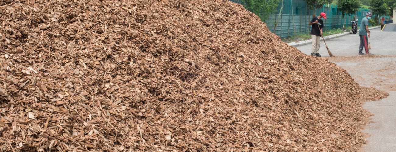 10. Raw Materials BIOENECO