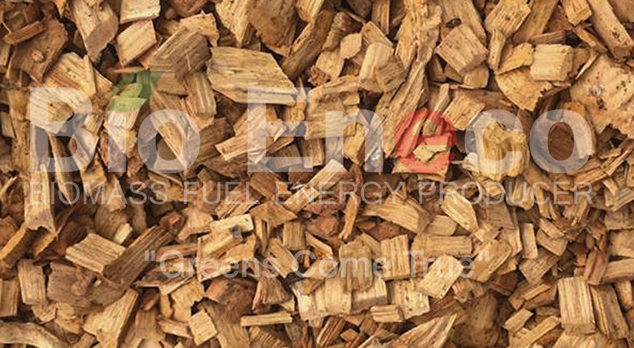 Wood Chip