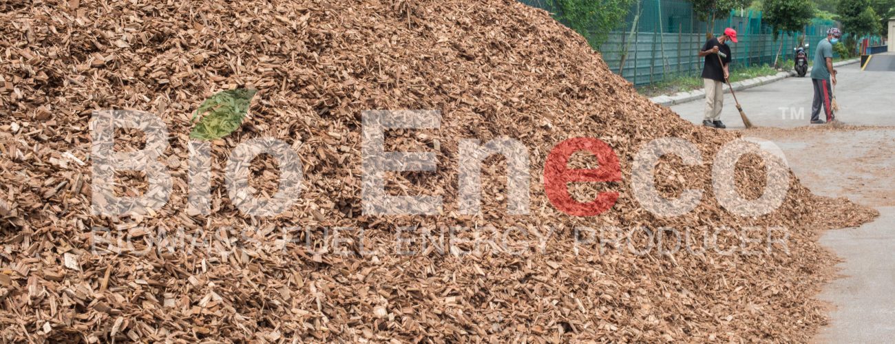 10-raw-materials-bioeneco